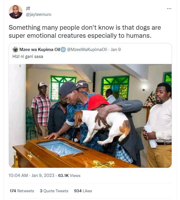 Jayteemuro something many people don't know is that dogs are super emotional cre