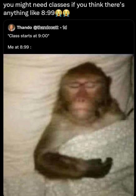 You might need classes if you think there's anything like 8.99 thando hhandooan