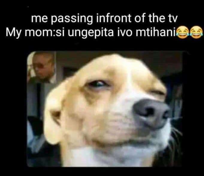 Me passing infront of the tv my momsi ungepita ivo mtihani