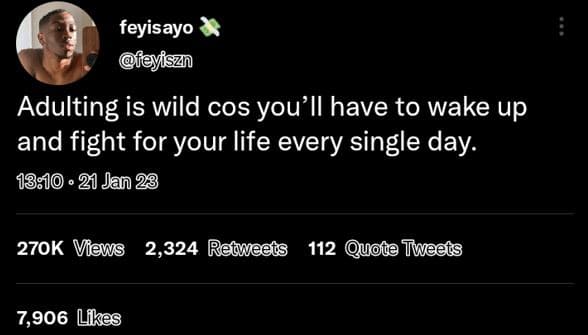 Feyisayo feyiszn adulting is wild cos you'il have to wake up and fight for your