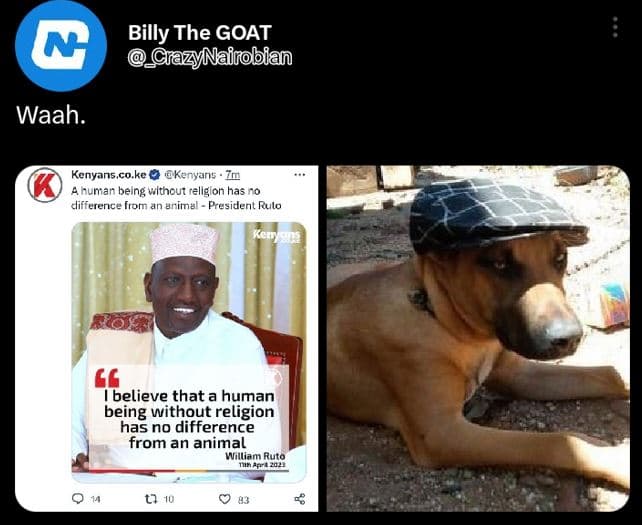 Billy the goat liazynairobian waah. kenyans co kc kervans fumar belng vlthour re