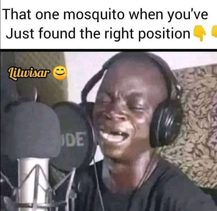 That one mosquito when you've just found the right position jitwisar jde