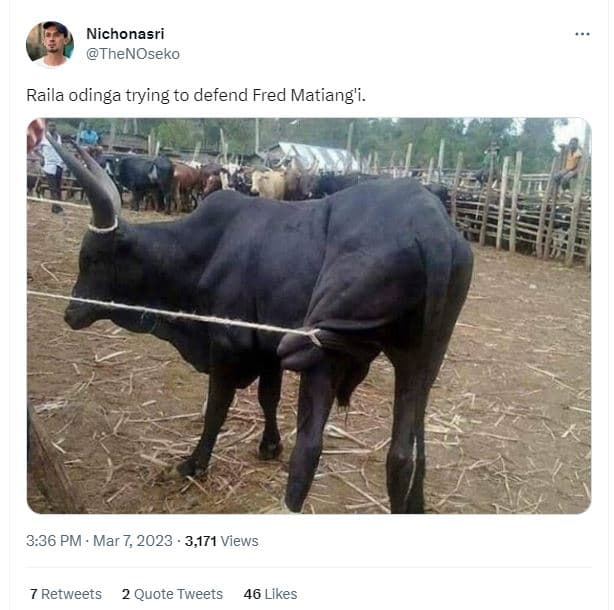 Nichonasri thenoseko raila odinga trying to defend fred matiang'i. 3.36 pm mar 7