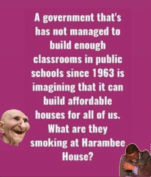 A government that's has not managed to build enough classrooms in public schools