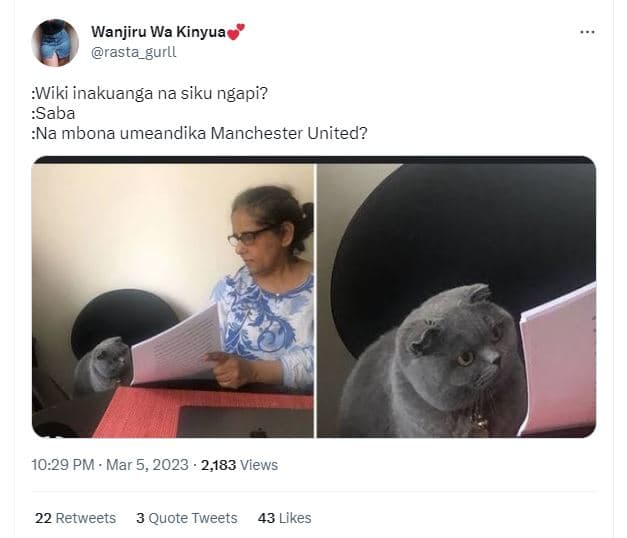 Wanjiru wa kinyua rasta gurll wiki inakuanga na siku ngapi? saba na mbona umeand