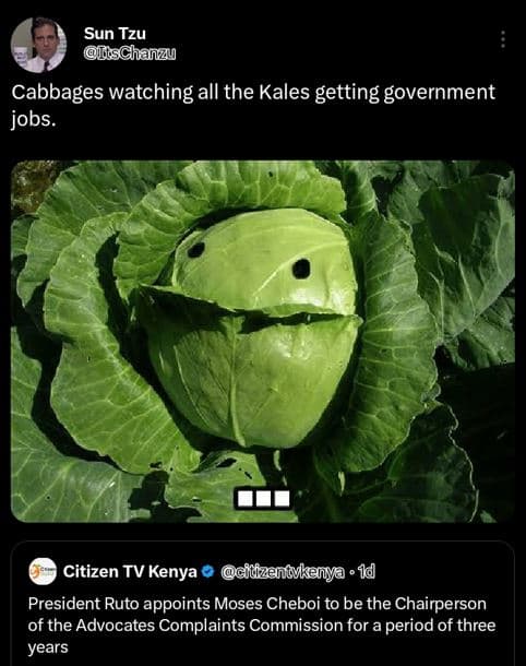 Sun tzu ischanzu cabbages watching all the kales getting government jobs. citize
