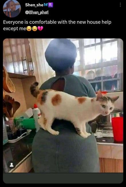 Shen_she shenshe everyone is comfortable with the new house help except me