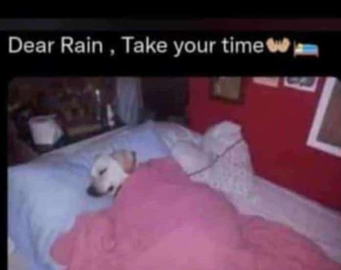 Dear rain take your time