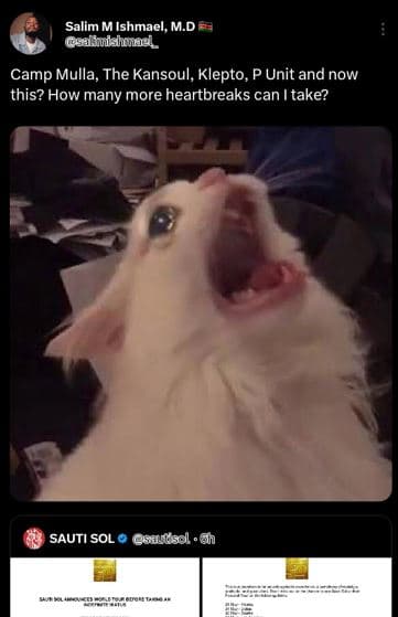 Salim m ishmael, m.d asuhishuaed camp mulla the kansoul, klepto, p unit and now