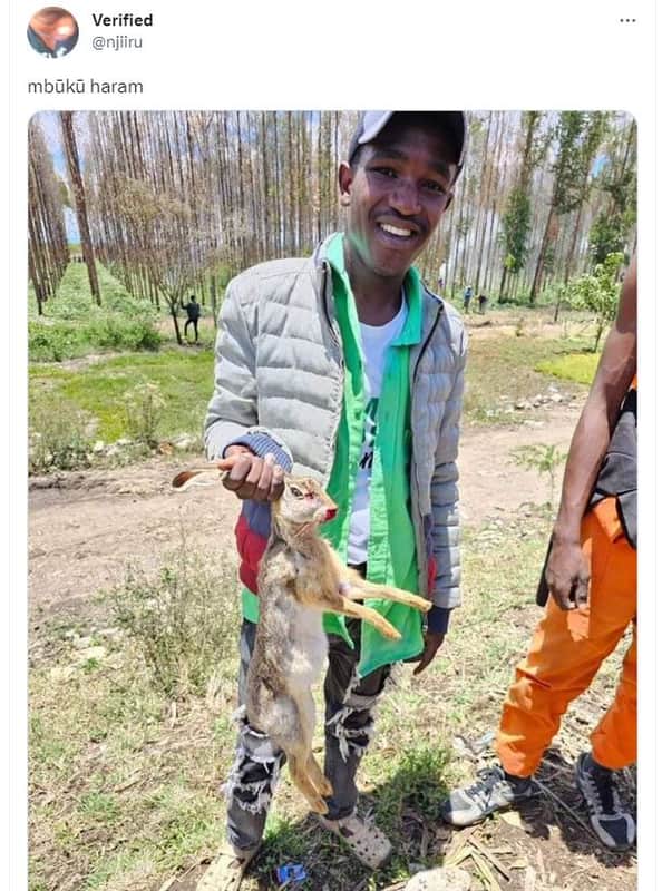 Verified njiiru mbukz haram