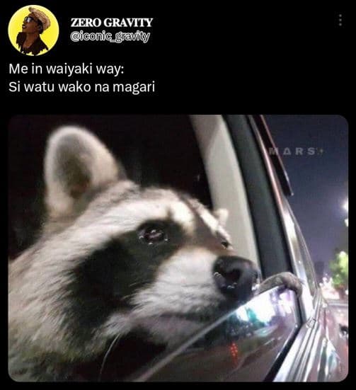 Zero gravity conic giamyy me in waiyaki way si watu wako na magari aa r 837