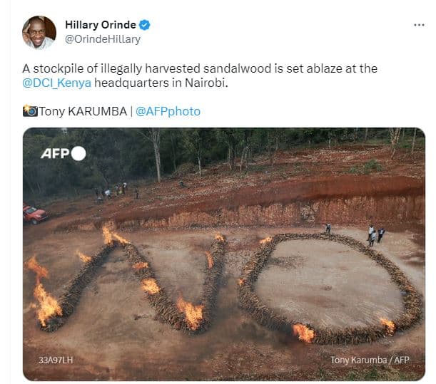Hillary orinde orindehillary a stockpile of illegally harvested sandalwood is se