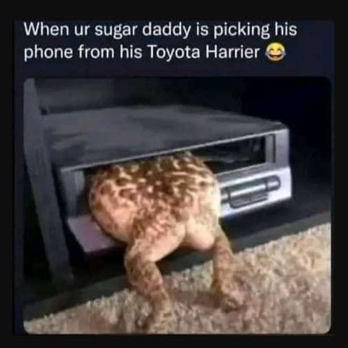 When ur sugar daddy is picking his phone from his toyota harrier
