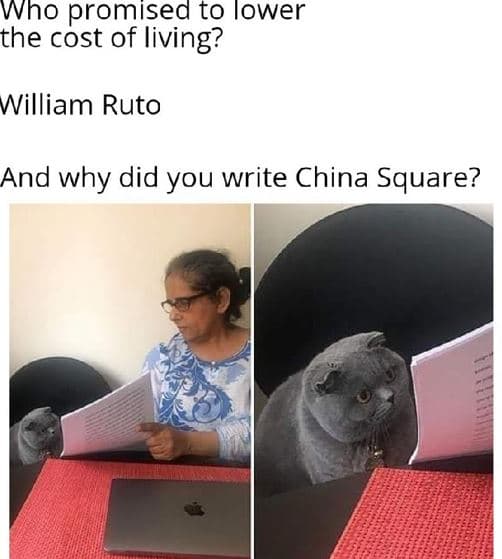 Who promised to iower the cost of living? william ruto and why did you write chi