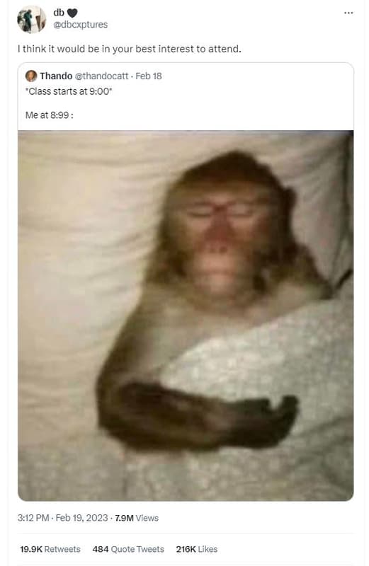 Dbcxptures think it would be in your best interest to attend. thando thandocatt