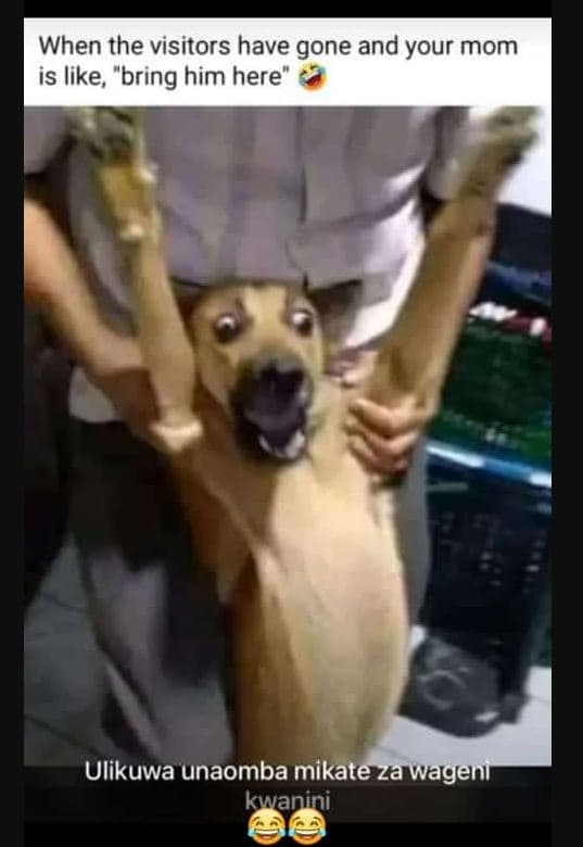 When the visitors have gone and your mom is like bring him here ulikuwa unaomba