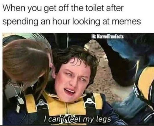 When you get off the toilet after spending an hour looking at memes imandtnefecu