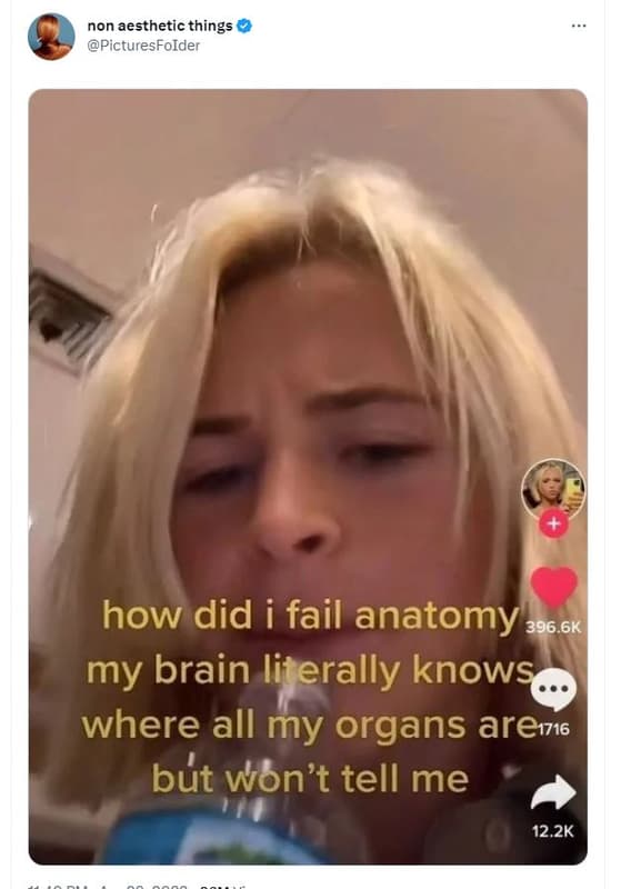 Non aesthetic things picturesfoider how did i fail anatomy 396 6k my brain liter