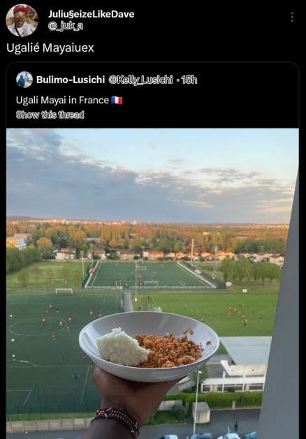 Juliuseizelikedave juka ugalié mayaiuex bulimolusichi kall_lusidhi 15h ugali may