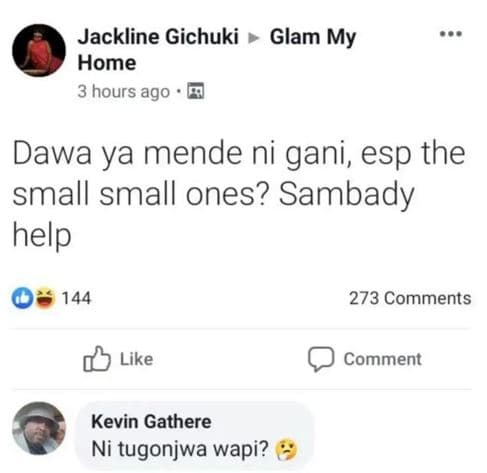 Jackline gichuki glam my home 3 hours ago dawa ya mende ni gani esp the small sm