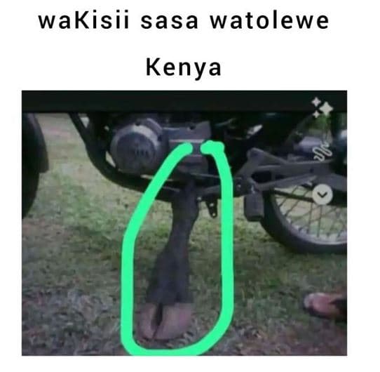 Wakisii sasa watolewe kenya 1
