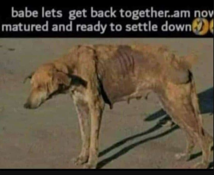 Babe lets get back together_ am nov matured and ready to settle down