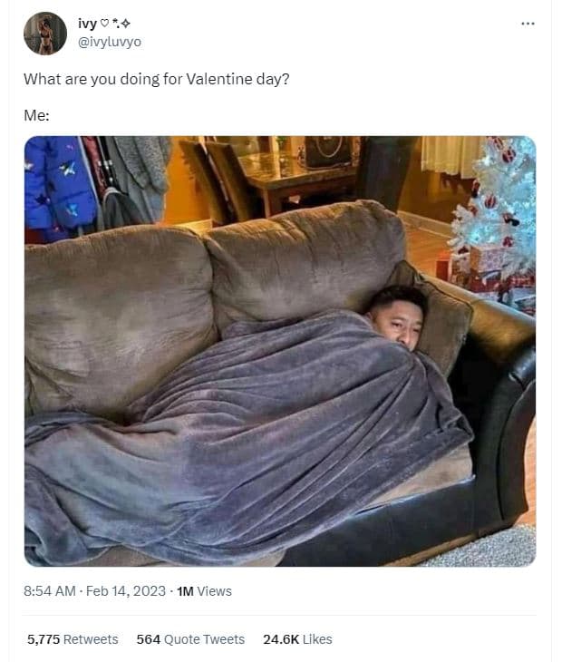 Ivy ivyluvyo what are you doing for valentine day? me 8.54 am feb 14, im views 5