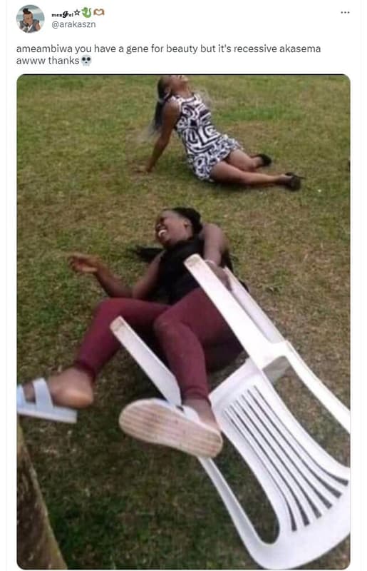 Mesg.1 uo arakaszn ameambiwa you have a gene for beauty but it's recessive akase