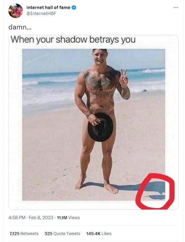 Internet hall of fame internethof damn when your shadow betrays you 4.58 pm feb