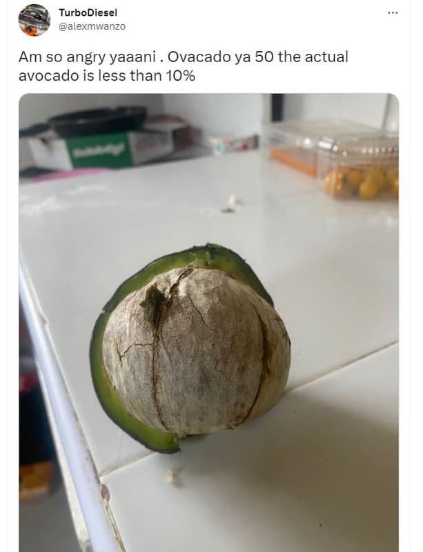 Turbodiesel alexmwanzo am so angry yaaani ovacado ya 50 the actual avocado is le
