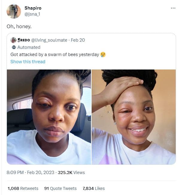 Shapiro jsna_1 oh, honey. sredo living_soulmate feb 20 automated got attacked by