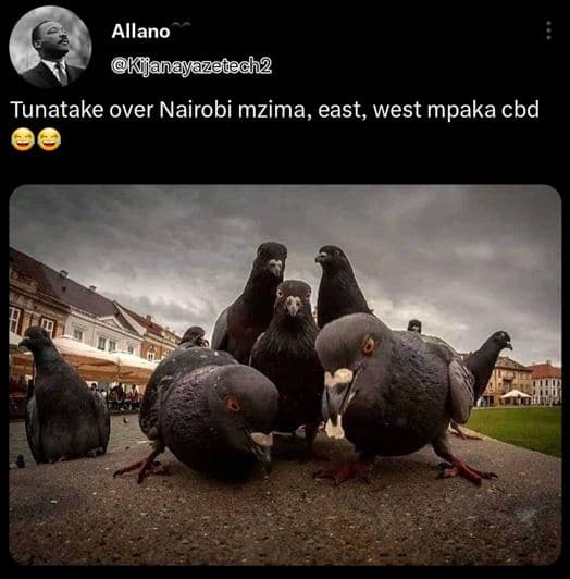 Allano kijanayazenech2 tunatake over nairobi mzima, east, west mpaka cbd