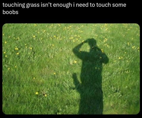 Touching grass isn't enough i need to touch some boobs