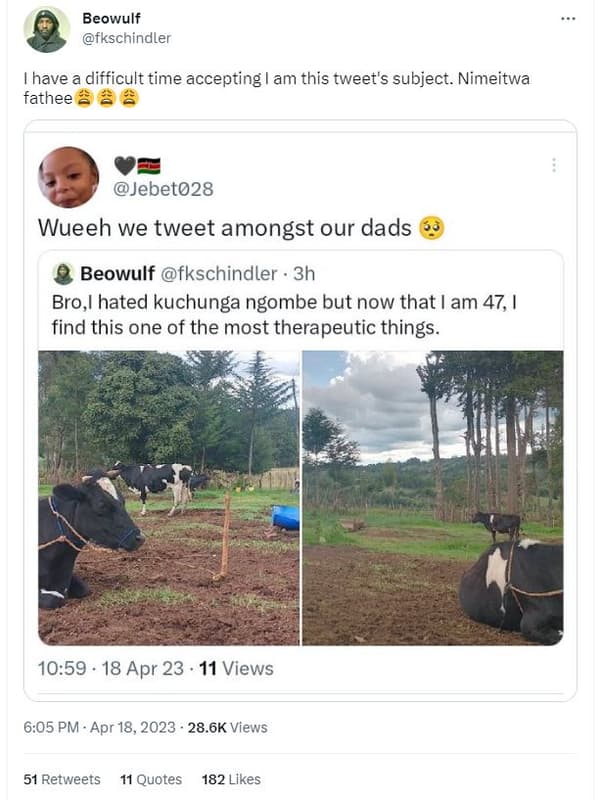 Beowulf fkschindler have a difficult time accepting am this tweet's subject. nim