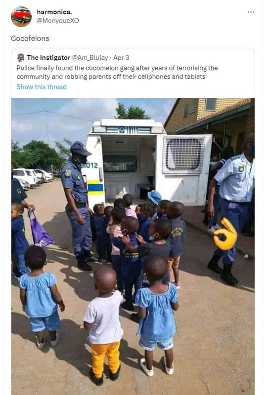 Harmonica monyquexo cocofelons the instigator am_blujay apr 3 police finally fou