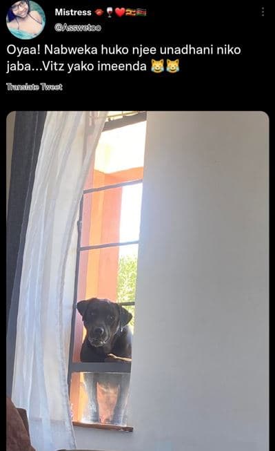 Mistress assaesog oyaa! nabweka huko njee unadhani niko jaba. vitz yako imeenda
