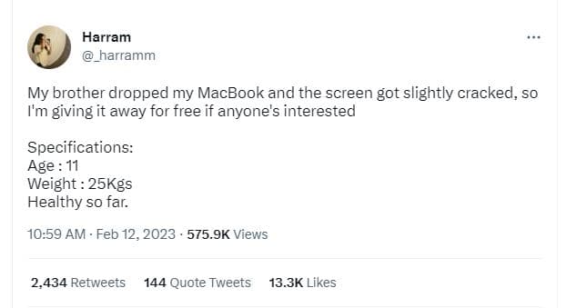 Harram harramm my brother dropped my macbook and the screen got slightly cracked