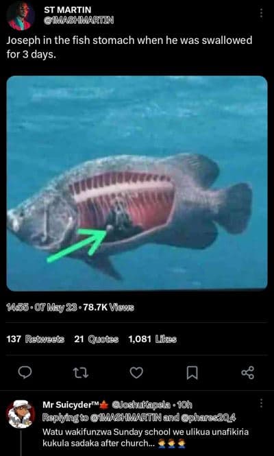 St martin iashmmarnn joseph in the fish stomach when he was swallowed for 3 days