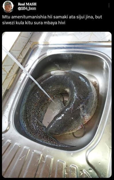 Real mash 85a 0h mtu amenitumanishia hii samaki ata sijui jina but siwezi kula k