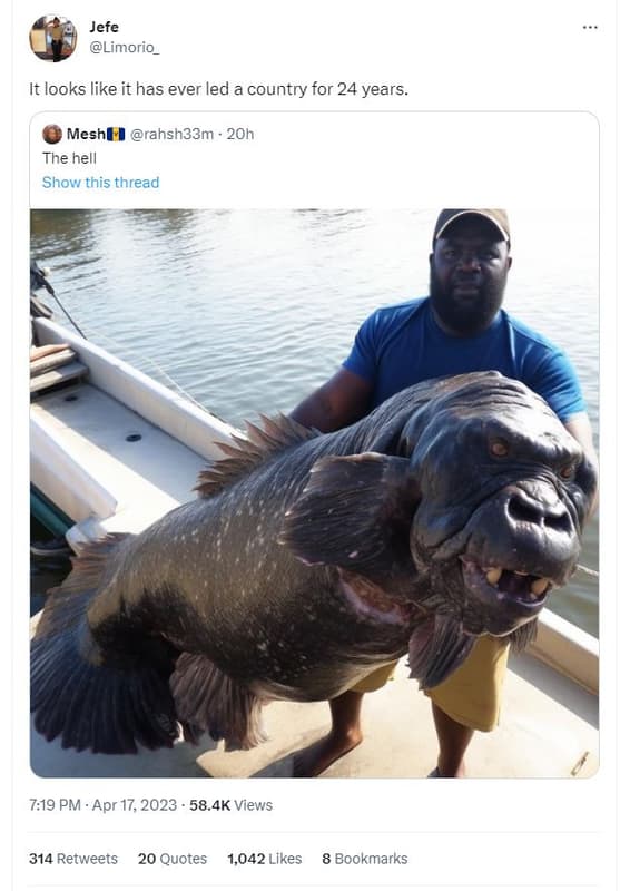 Jefe limorio_ it looks like it has ever led a country for 24 years. mesh rahsh33