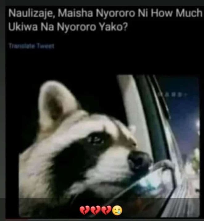 Naulizaje, maisha nyororo ni how much uklwa na nyororo yako?
