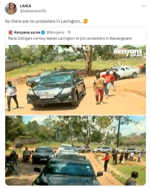 Laika laikasnewlife so there are no protesters in lavington. kenyans.co.ke kenya