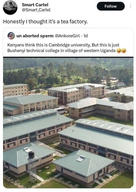 Smart cartel smart cartel follow honestly i thought it's a tea factory un aborte