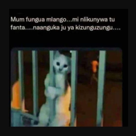 Mum fungua mlango . mi nlikunywa tu fanta naanguka ju ya kizunguzungu .