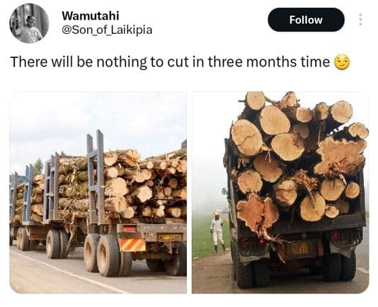 Wamutahi son_of_laikipia follow there will be nothing to cut in three months tim