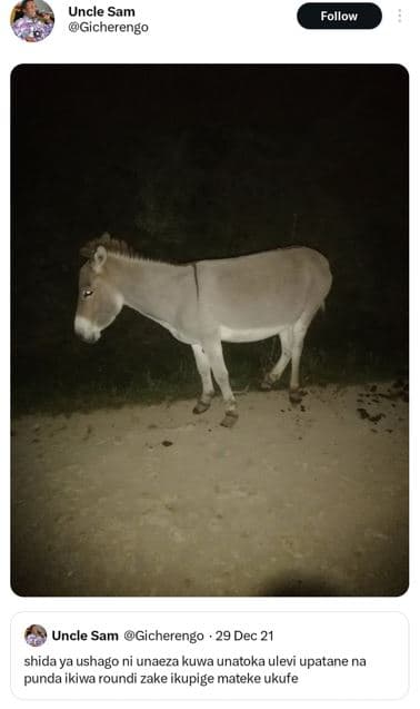 Uncle sam gicherengo follow uncle sam gicherengo 29 dec 21 shida ya ushago ni un