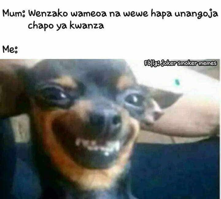 Mum wenzako wameoa na wewe hapa unangoja chapo ya kwanza gbfgs jokersmokermemes