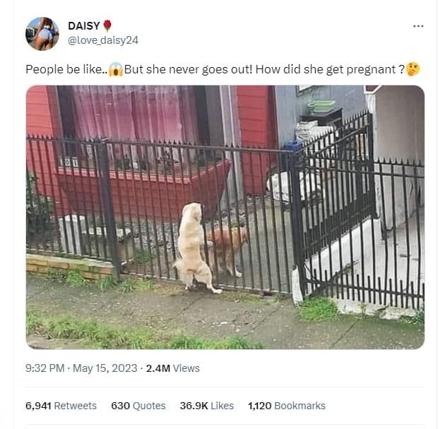 Daisy love_daisy24 people be like. but she never goes outl how did she get pregn