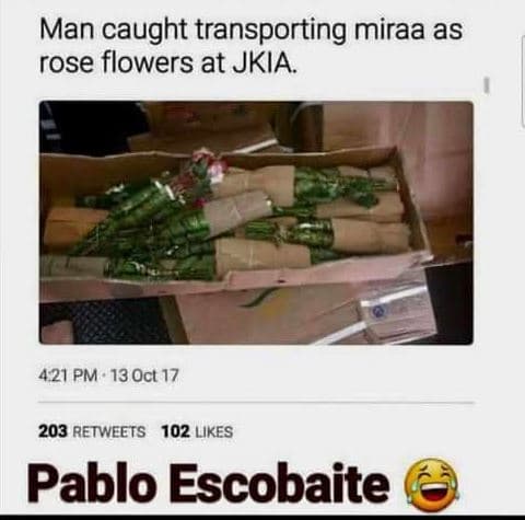 Man caught transporting miraa as rose flowers at jkia. 421 pm 13 oct 17 203 retw