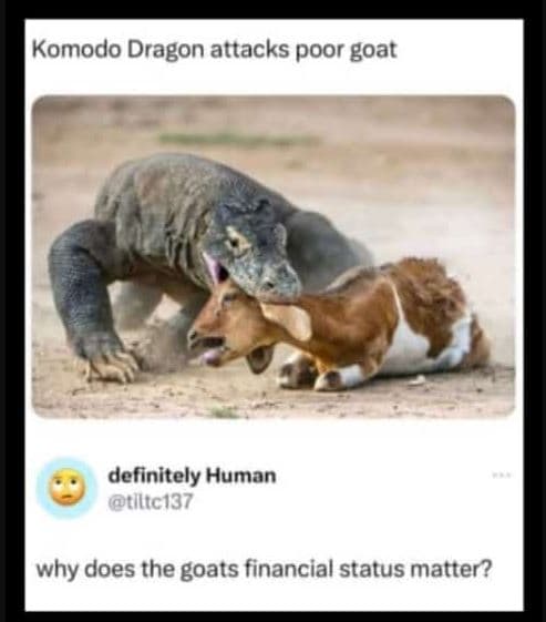 Komodo dragon attacks poor goat definitely human tltc137 why does the goats fina